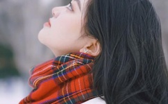 西北军军V2广东仔106G